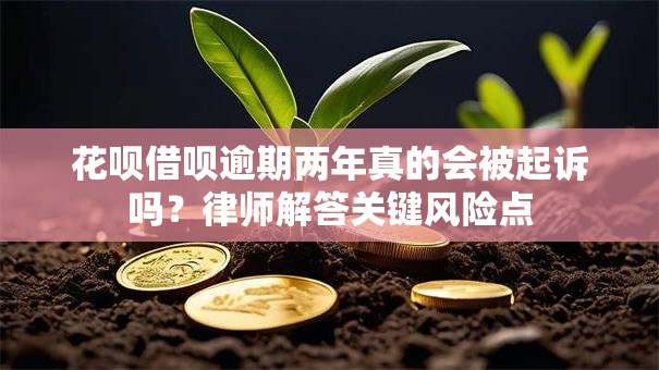 花呗借呗逾期两年真的会被起诉吗？律师解答关键风险点
