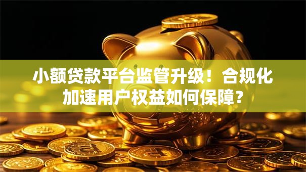 小额贷款平台监管升级！合规化加速用户权益如何保障？