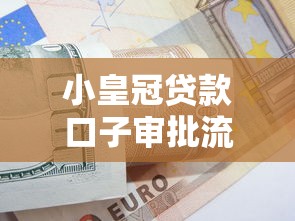 小皇冠贷款口子审批流程优化技巧解析