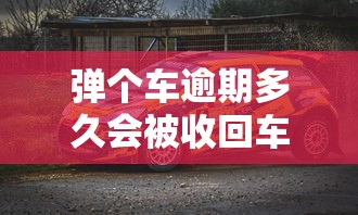 弹个车逾期多久会被收回车辆？老司机避坑指南必看