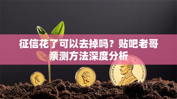 征信花了可以去掉吗？贴吧老哥亲测方法深度分析