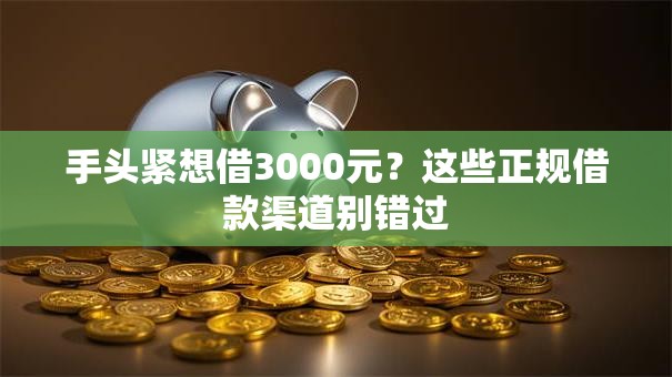 手头紧想借3000元？这些正规借款渠道别错过