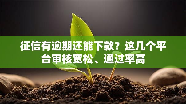 征信有逾期还能下款？这几个平台审核宽松、通过率高