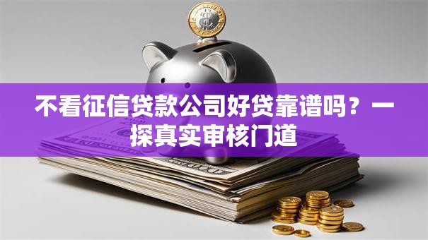 不看征信贷款公司好贷靠谱吗？一探真实审核门道