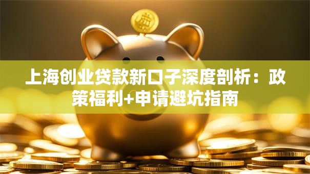 上海创业贷款新口子深度剖析：政策福利+申请避坑指南