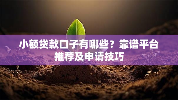 小额贷款口子有哪些？靠谱平台推荐及申请技巧