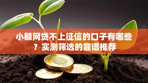 小额网贷不上征信的口子有哪些？实测筛选的靠谱推荐