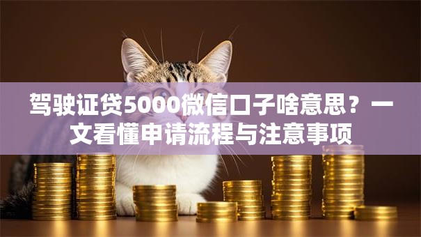 驾驶证贷5000微信口子啥意思？一文看懂申请流程与注意事项