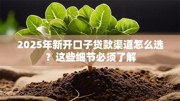 2025年新开口子贷款渠道怎么选？这些细节必须了解