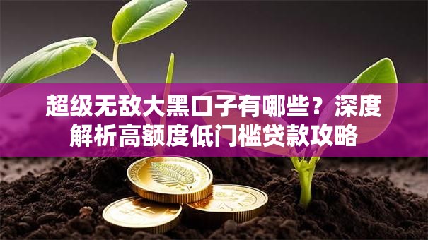 超级无敌大黑口子有哪些？深度解析高额度低门槛贷款攻略