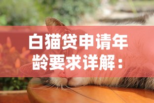白猫贷申请年龄要求详解：多大年纪能申请？这些条件别忽略！