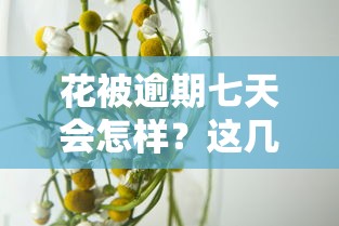花被逾期七天会怎样？这几点影响和补救方法必须知道