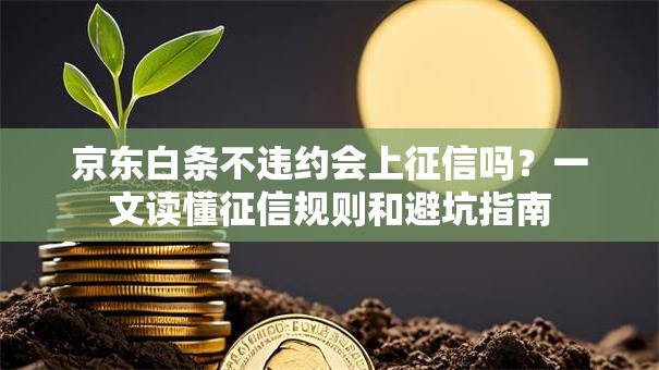 京东白条不违约会上征信吗？一文读懂征信规则和避坑指南