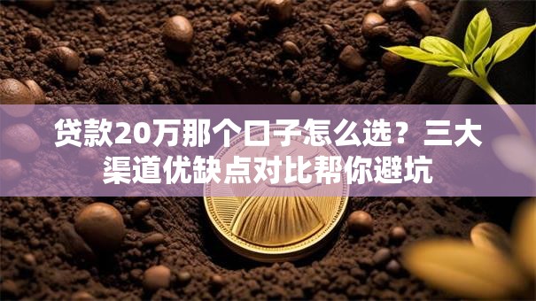 贷款20万那个口子怎么选？三大渠道优缺点对比帮你避坑