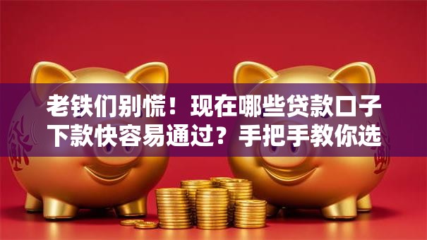 老铁们别慌！现在哪些贷款口子下款快容易通过？手把手教你选