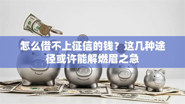 怎么借不上征信的钱？这几种途径或许能解燃眉之急