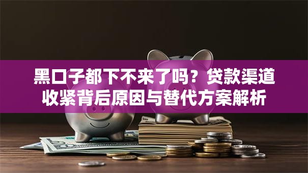 黑口子都下不来了吗？贷款渠道收紧背后原因与替代方案解析