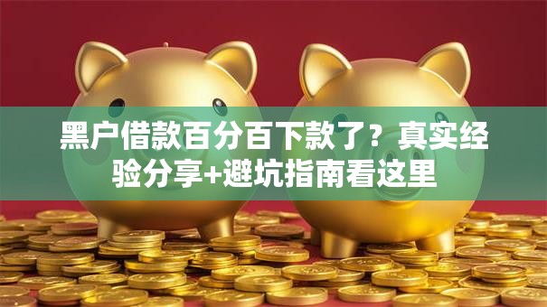 黑户借款百分百下款了？真实经验分享+避坑指南看这里