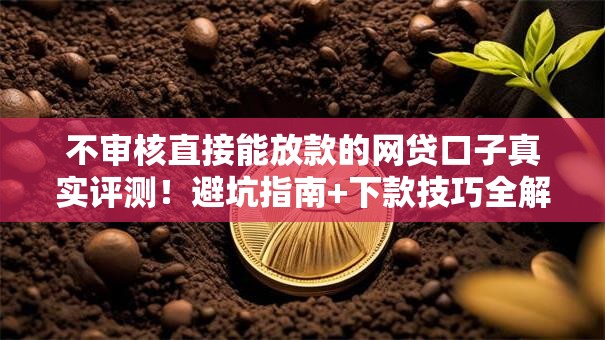 不审核直接能放款的网贷口子真实评测！避坑指南+下款技巧全解析