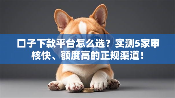 口子下款平台怎么选？实测5家审核快、额度高的正规渠道！