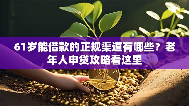 61岁能借款的正规渠道有哪些？老年人申贷攻略看这里