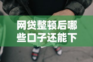 网贷整顿后哪些口子还能下款？实测靠谱渠道解析