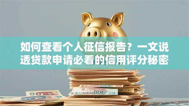 如何查看个人征信报告？一文说透贷款申请必看的信用评分秘密