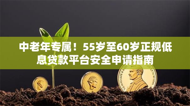 中老年专属！55岁至60岁正规低息贷款平台安全申请指南