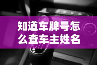 知道车牌号怎么查车主姓名？这些合法渠道你需要了解！