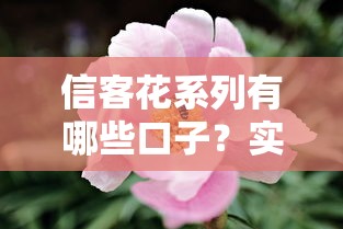 信客花系列有哪些口子？实测筛选这几个靠谱平台
