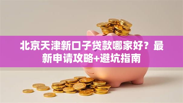 北京天津新口子贷款哪家好？最新申请攻略+避坑指南