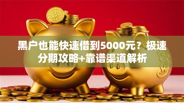 黑户也能快速借到5000元？极速分期攻略+靠谱渠道解析