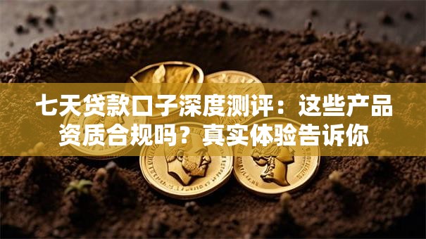 七天贷款口子深度测评：这些产品资质合规吗？真实体验告诉你