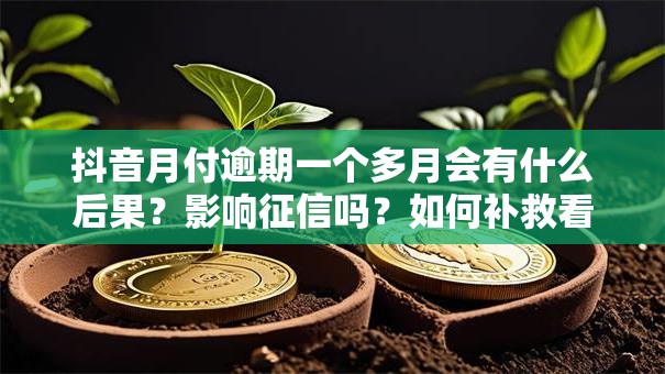 抖音月付逾期一个多月会有什么后果？影响征信吗？如何补救看这里！
