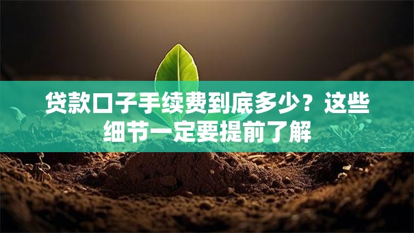 贷款口子手续费到底多少？这些细节一定要提前了解