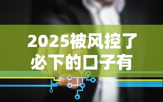 2025被风控了必下的口子有哪些？最新申请攻略全解析