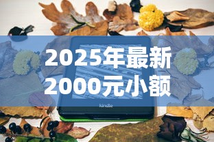 2025年最新2000元小额借钱攻略：手把手教你避坑+低息平台对比