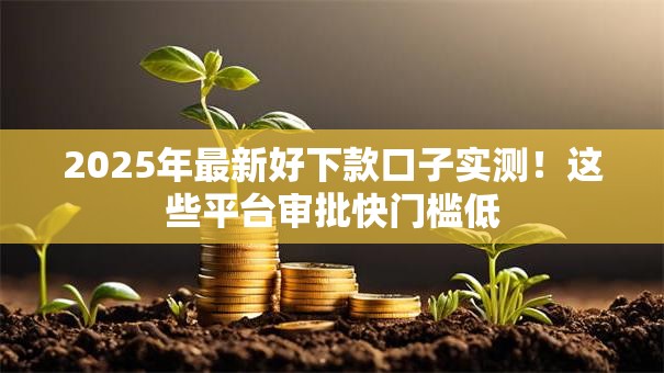 2025年最新好下款口子实测！这些平台审批快门槛低