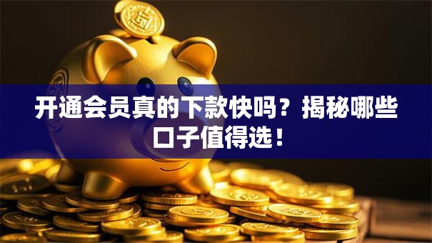 开通会员真的下款快吗？揭秘哪些口子值得选！