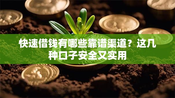 快速借钱有哪些靠谱渠道？这几种口子安全又实用