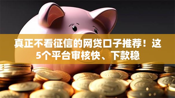 真正不看征信的网贷口子推荐！这5个平台审核快、下款稳