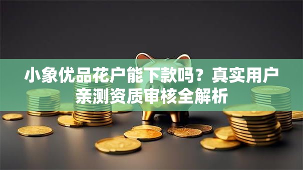 小象优品花户能下款吗？真实用户亲测资质审核全解析