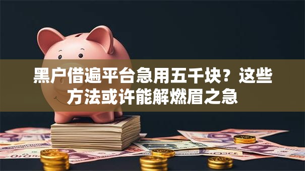 黑户借遍平台急用五千块？这些方法或许能解燃眉之急