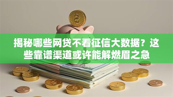 揭秘哪些网贷不看征信大数据？这些靠谱渠道或许能解燃眉之急