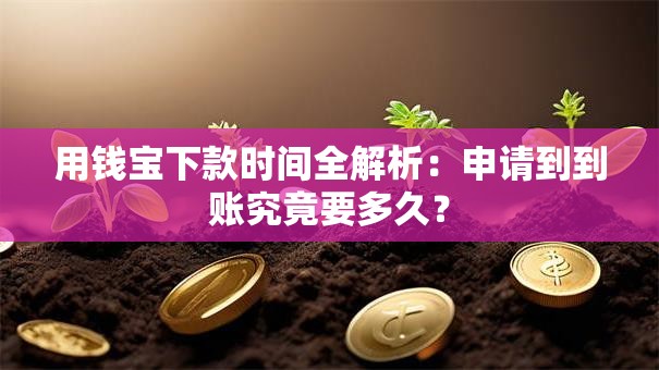 用钱宝下款时间全解析：申请到到账究竟要多久？