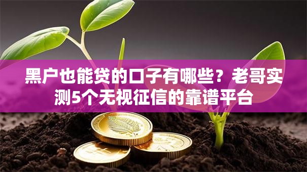 黑户也能贷的口子有哪些？老哥实测5个无视征信的靠谱平台
