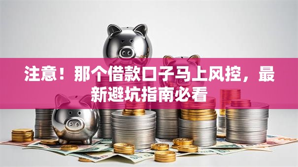 注意！那个借款口子马上风控，最新避坑指南必看