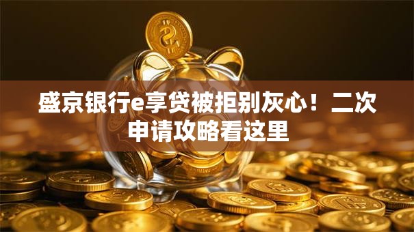 盛京银行e享贷被拒别灰心！二次申请攻略看这里