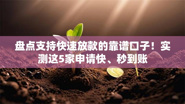 盘点支持快速放款的靠谱口子！实测这5家申请快、秒到账