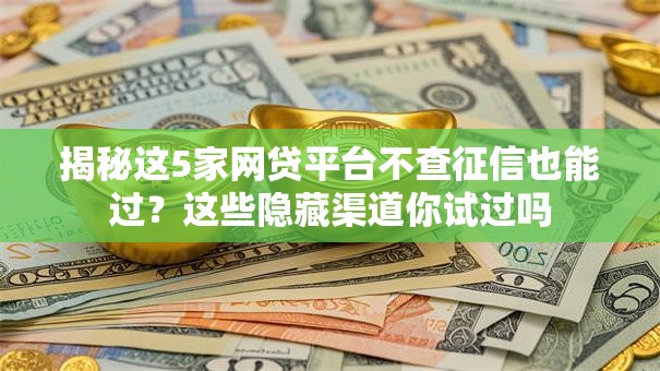 揭秘这5家网贷平台不查征信也能过？这些隐藏渠道你试过吗